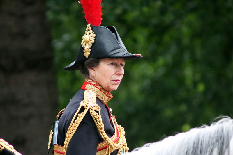 Head and shoulders photo of Princess Anne dressed in full military regalia. 
